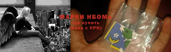 шишки Абаза
