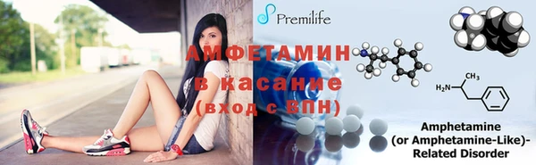 шишки Абаза