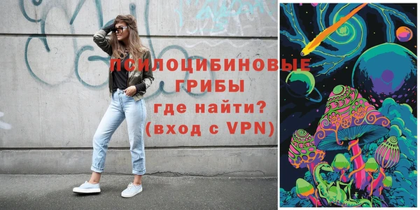 дживик Протвино