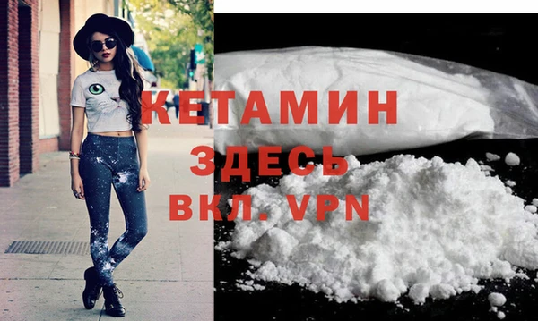 шишки Абаза