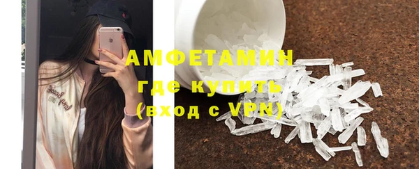 шишки Абаза