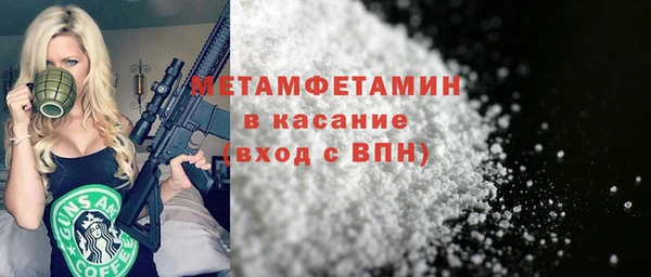 шишки Абаза