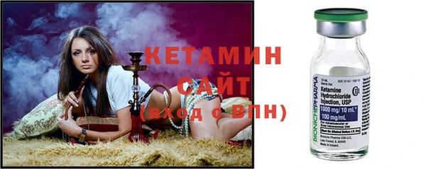 шишки Абаза